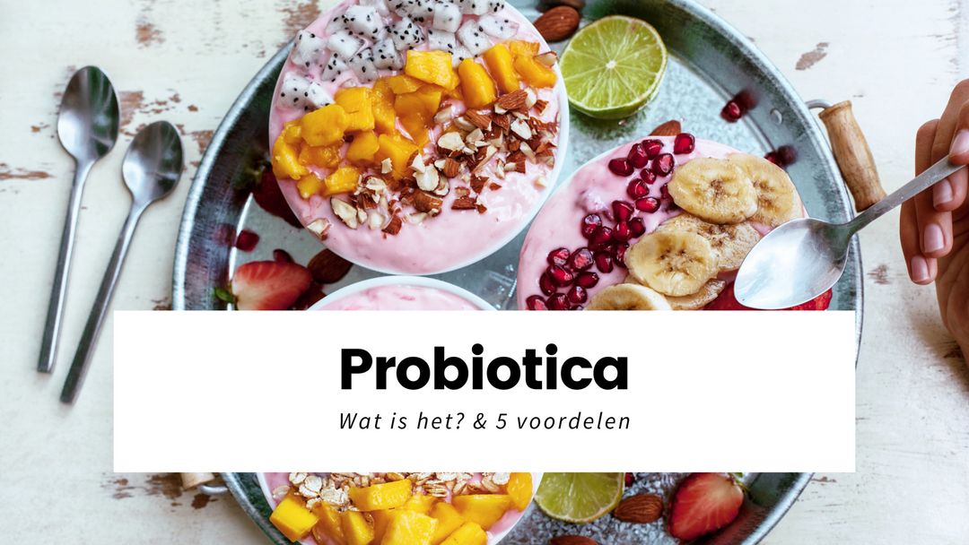 Probiotica: wat is het? & 5 voordelen