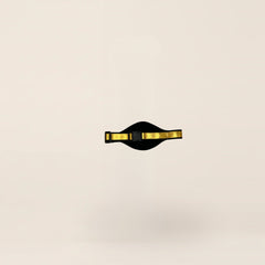 HOW Mic Belt goud – foto 3