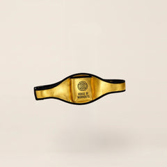 HOW Mic Belt goud