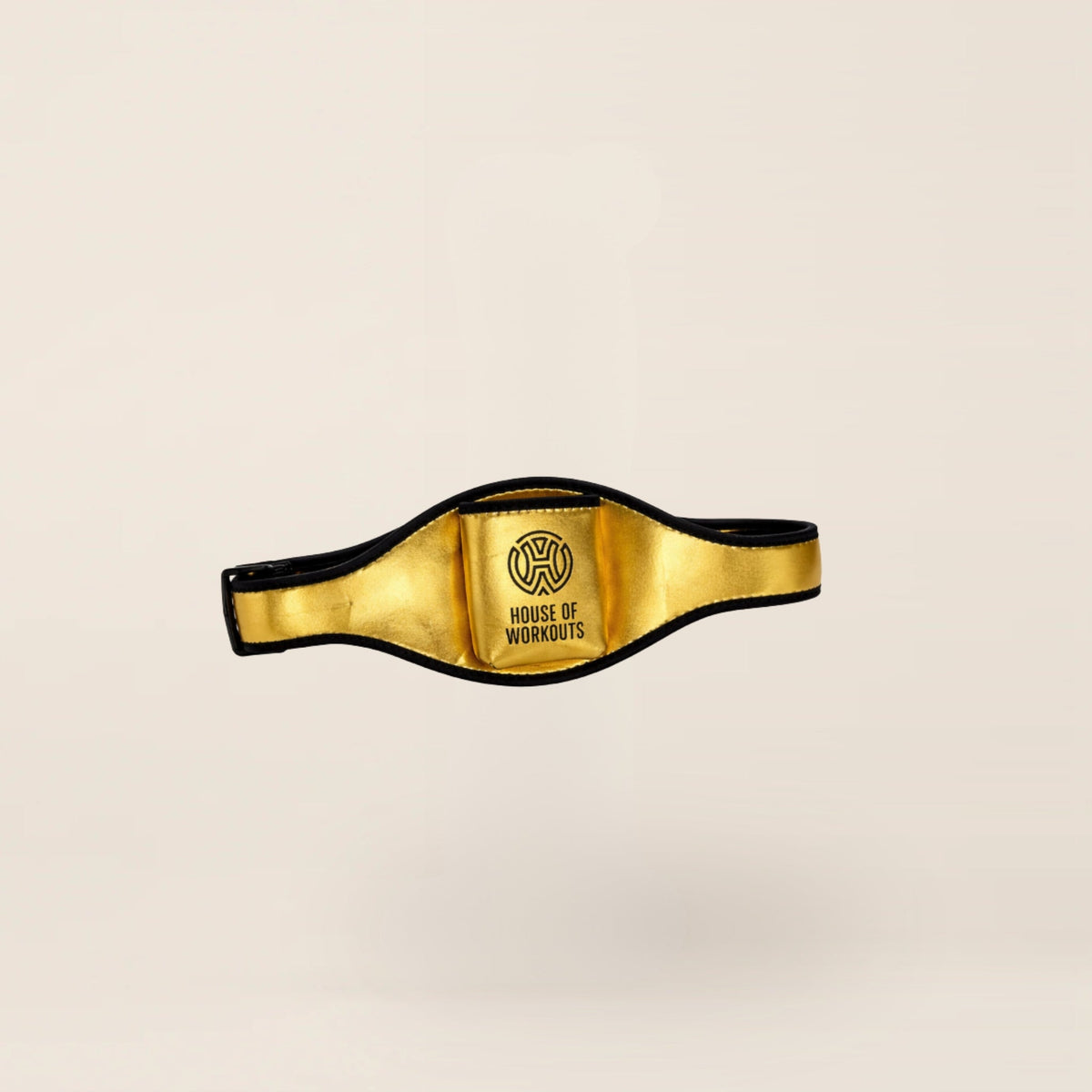 HOW Mic Belt goud